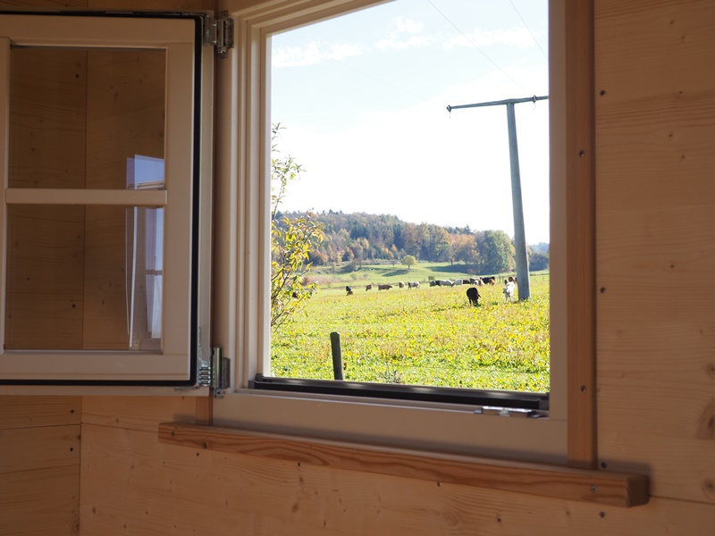 Gaestehaus-Fenster Gaestehaus-Fenster